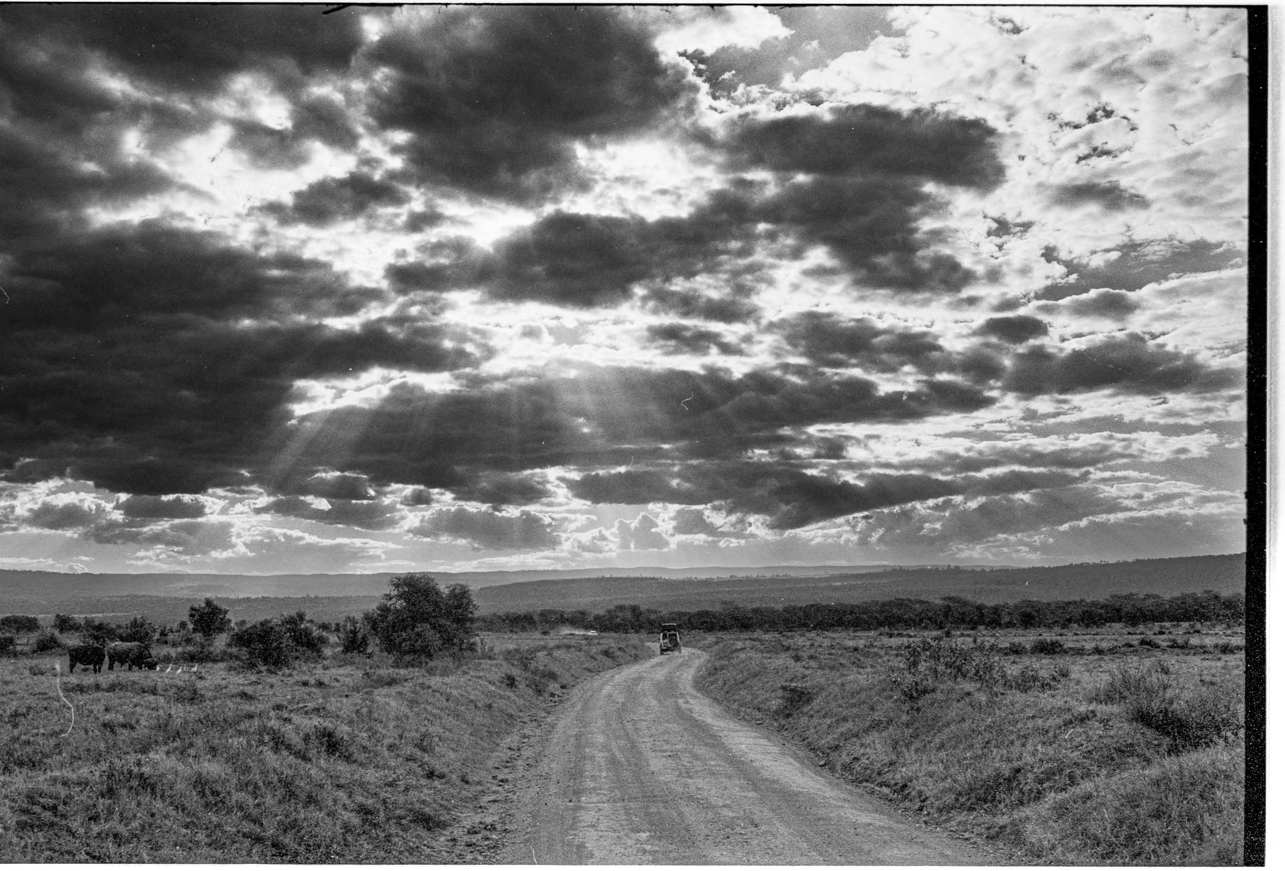 202601_Delta100Pro (22)-7.jpg