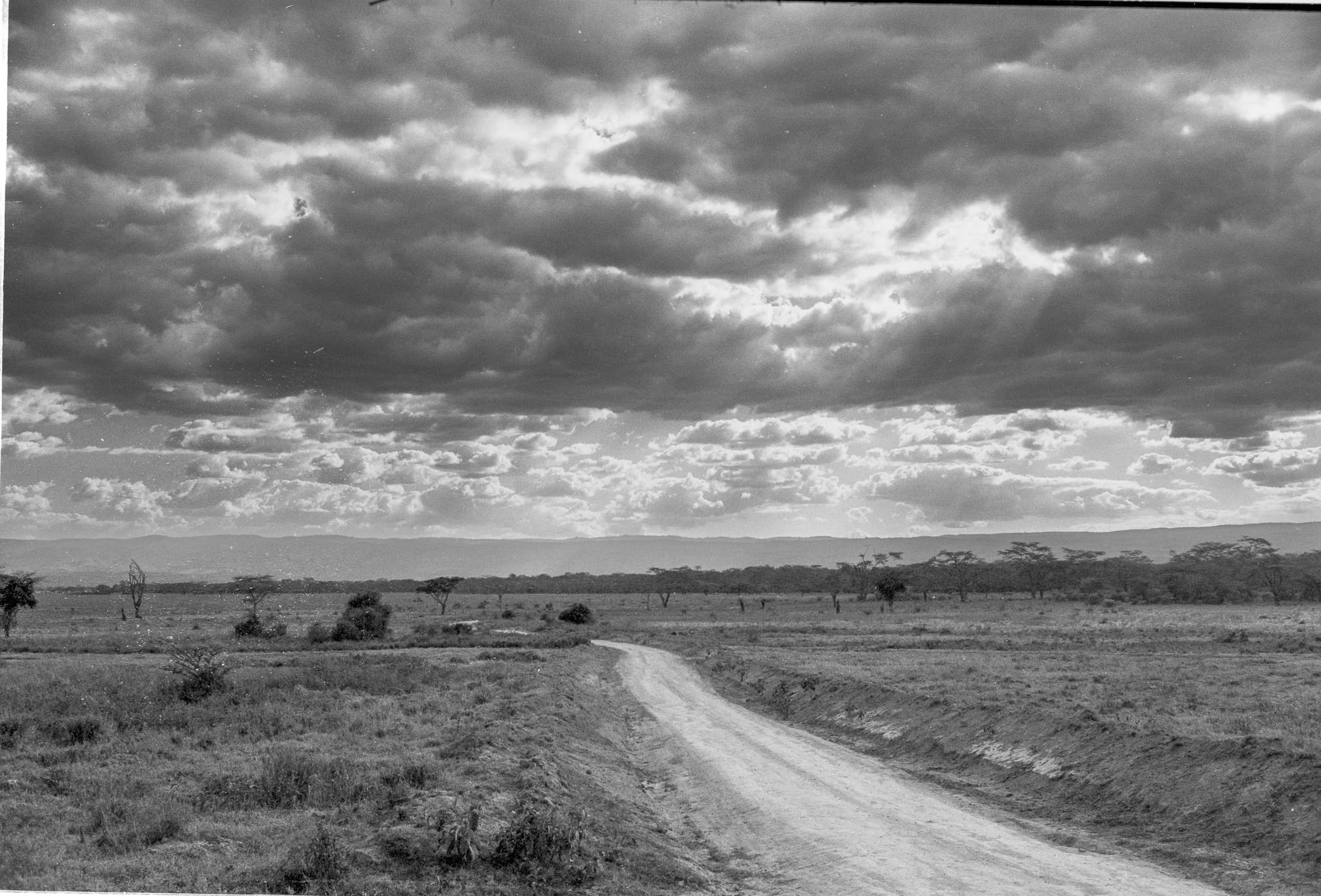 202601_Delta100Pro (19)-1.jpg