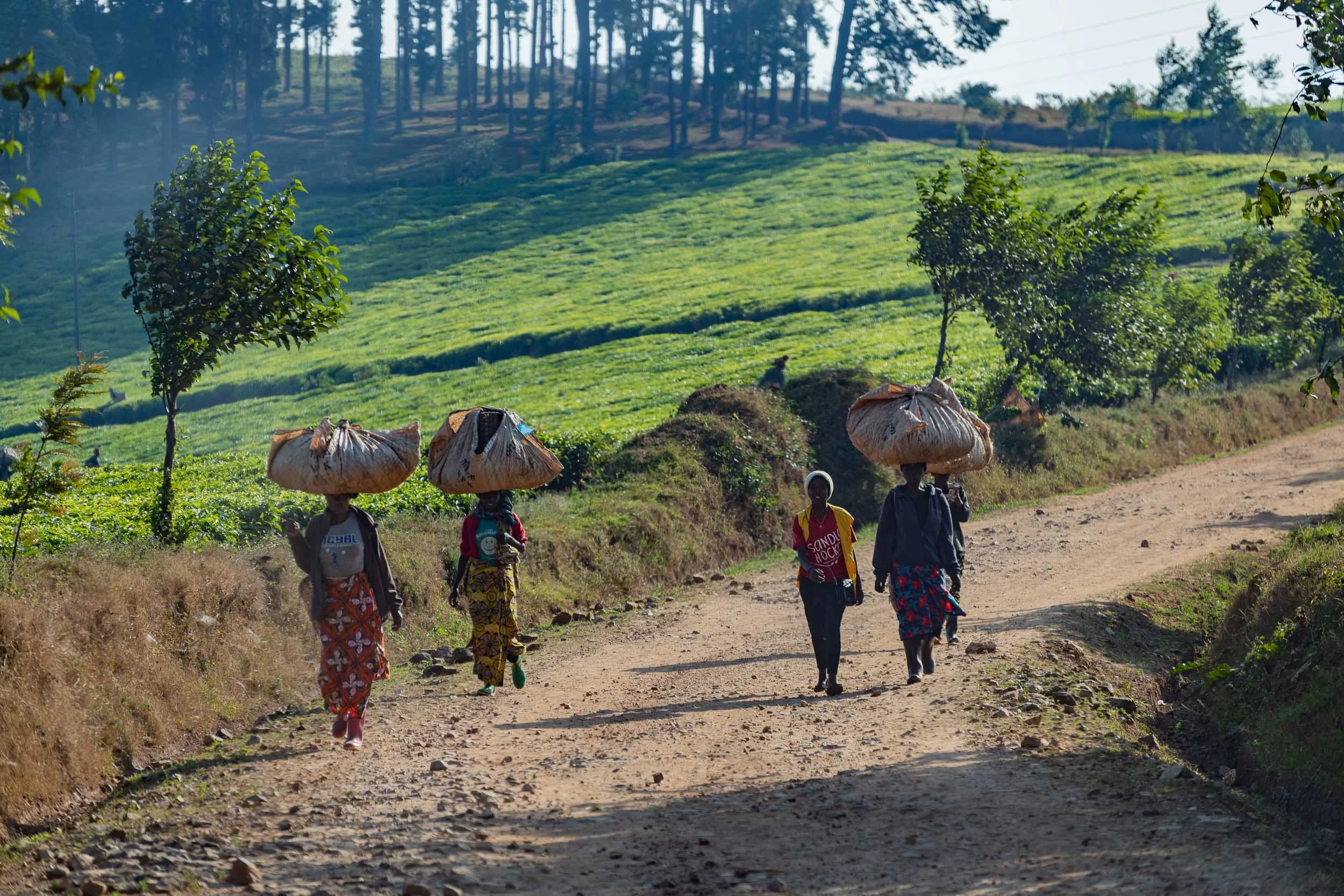 Rwanda, kraj tysiąca wzgórz
