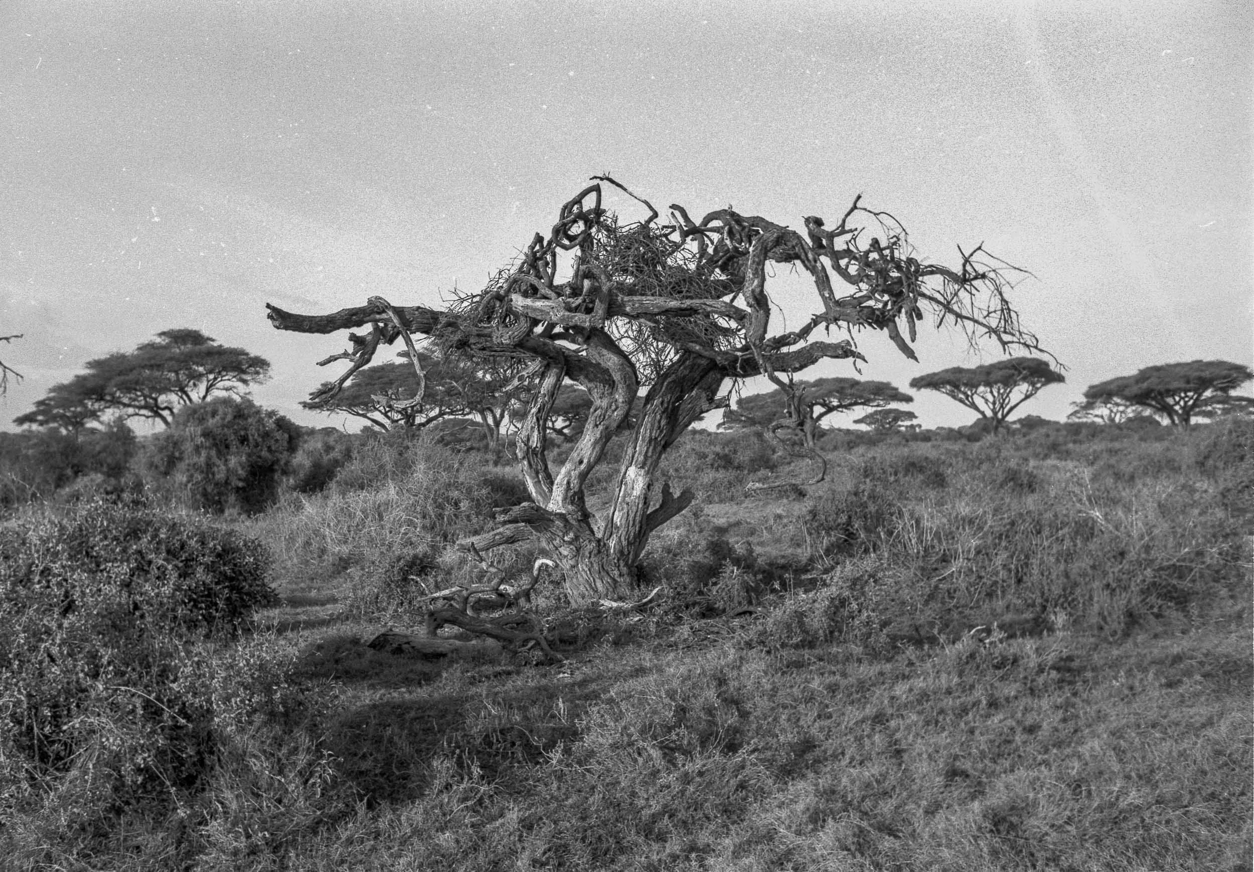 202601_Delta100Pro (28)-1.jpg