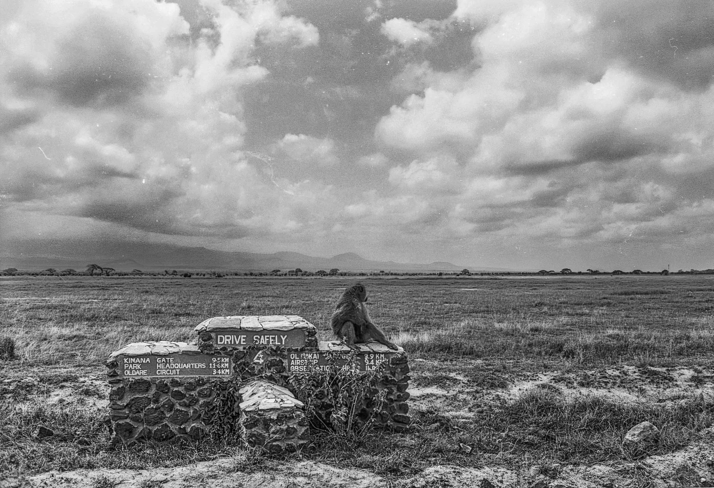 202601_Delta100Pro (7)-1.jpg