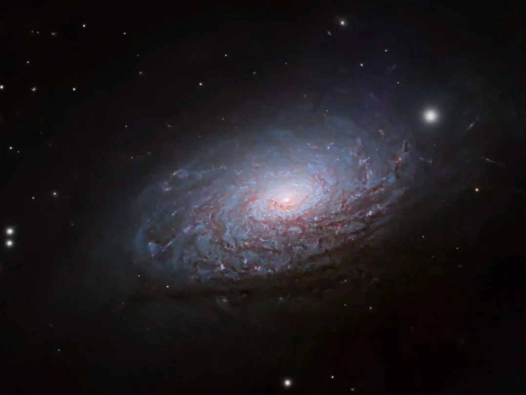 Chasing M63: A Night of Astrophotography Under Smoky Skies