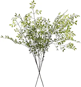 A bunch of green leafy branches with multiple stems arranged together.