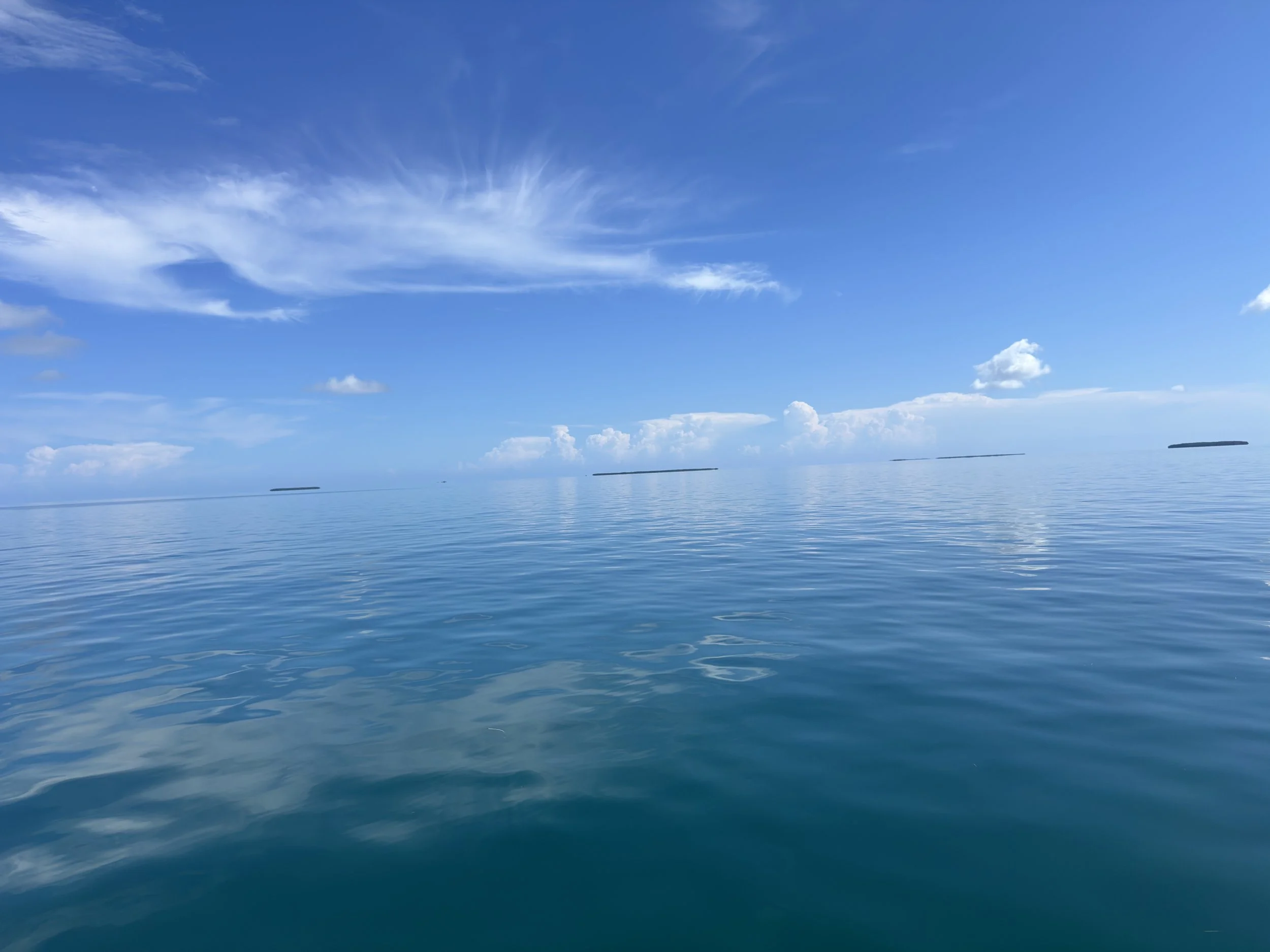 A Designer's Guide to the Lower Keys