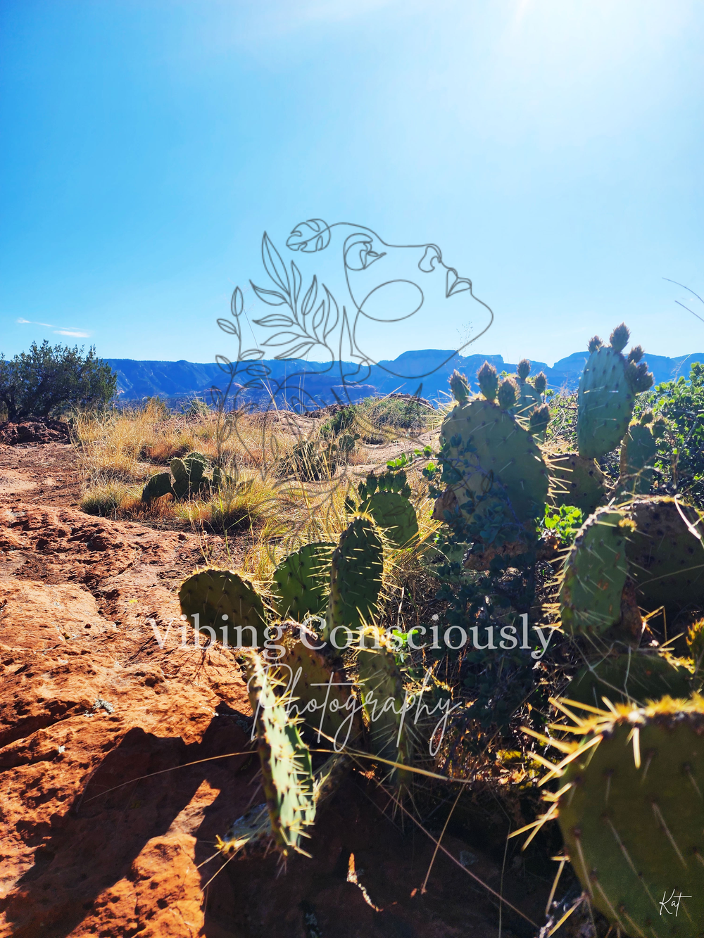 Sedona photograph &mdash; Desert Guardians