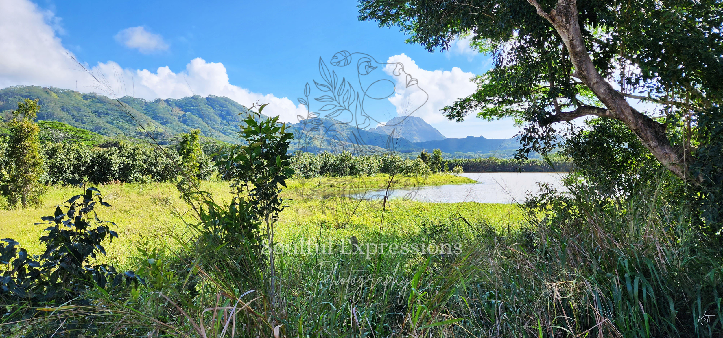 A lush green landscape in Kauai, Hawaii with trees, grass, and a water body set against a mountain backdrop on a bright, partly cloudy day.