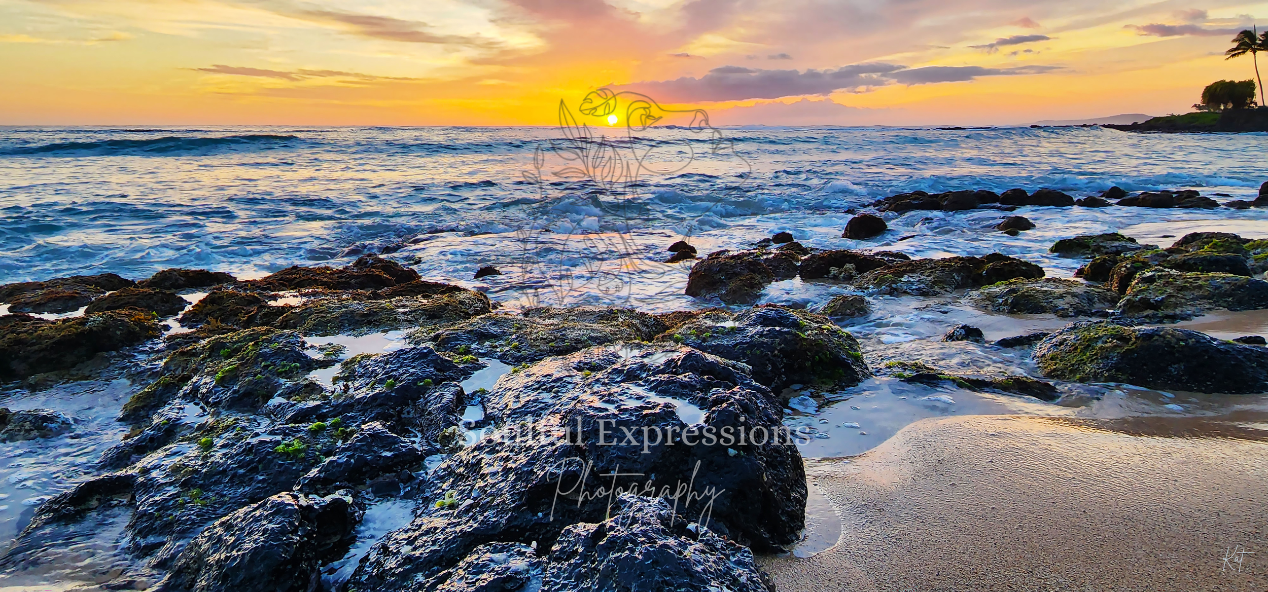 A colorful sunset over a rocky shoreline in Kauai, Hawaii with waves crashing onto the rocks and a few palm trees in the distance.