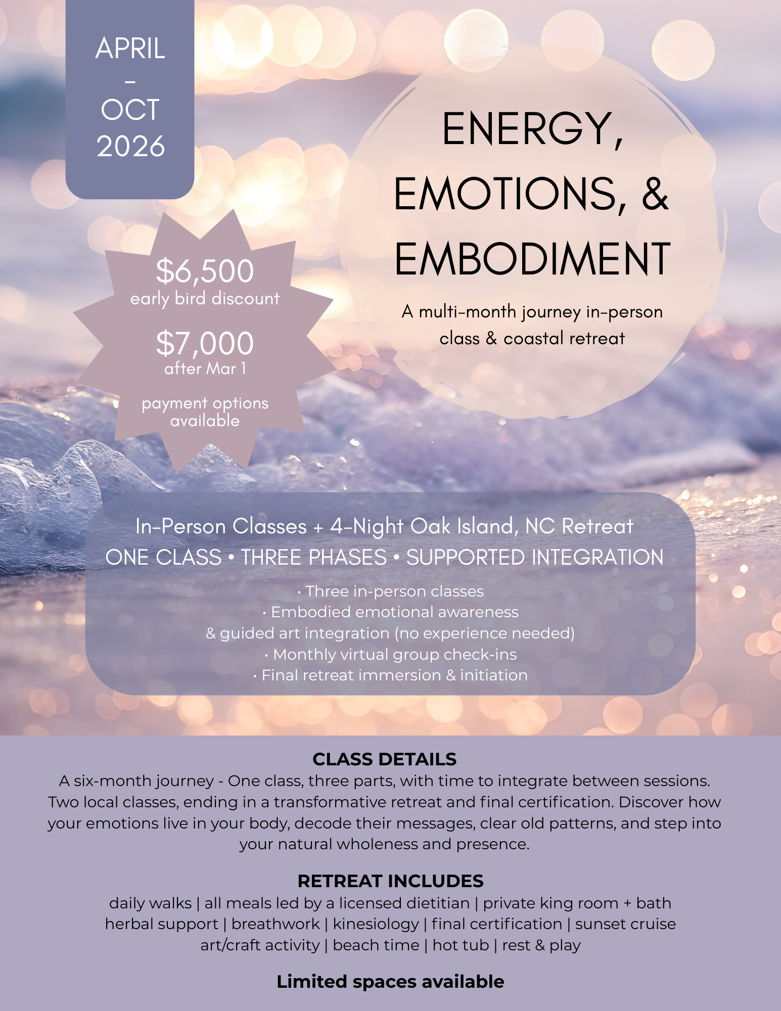 Energy, Emotions & Embodiment – A 6-Month Journey & Retreat