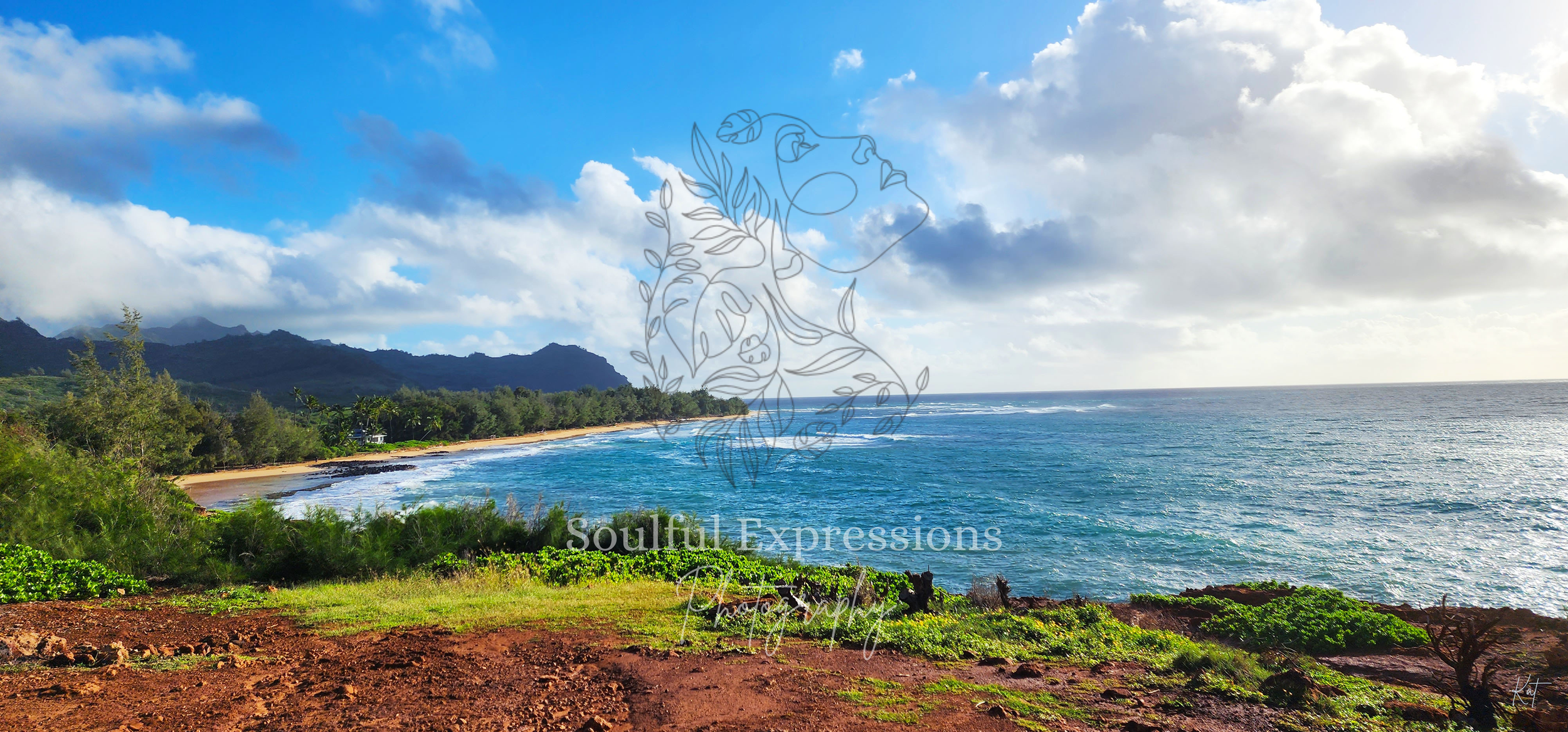 A scenic view of a tropical coastline in Kauai, Hawaii, with brown soil foreground, lush green trees, a sandy beach, and blue ocean with waves. Mountains are visible in the background under a partly cloudy sky.