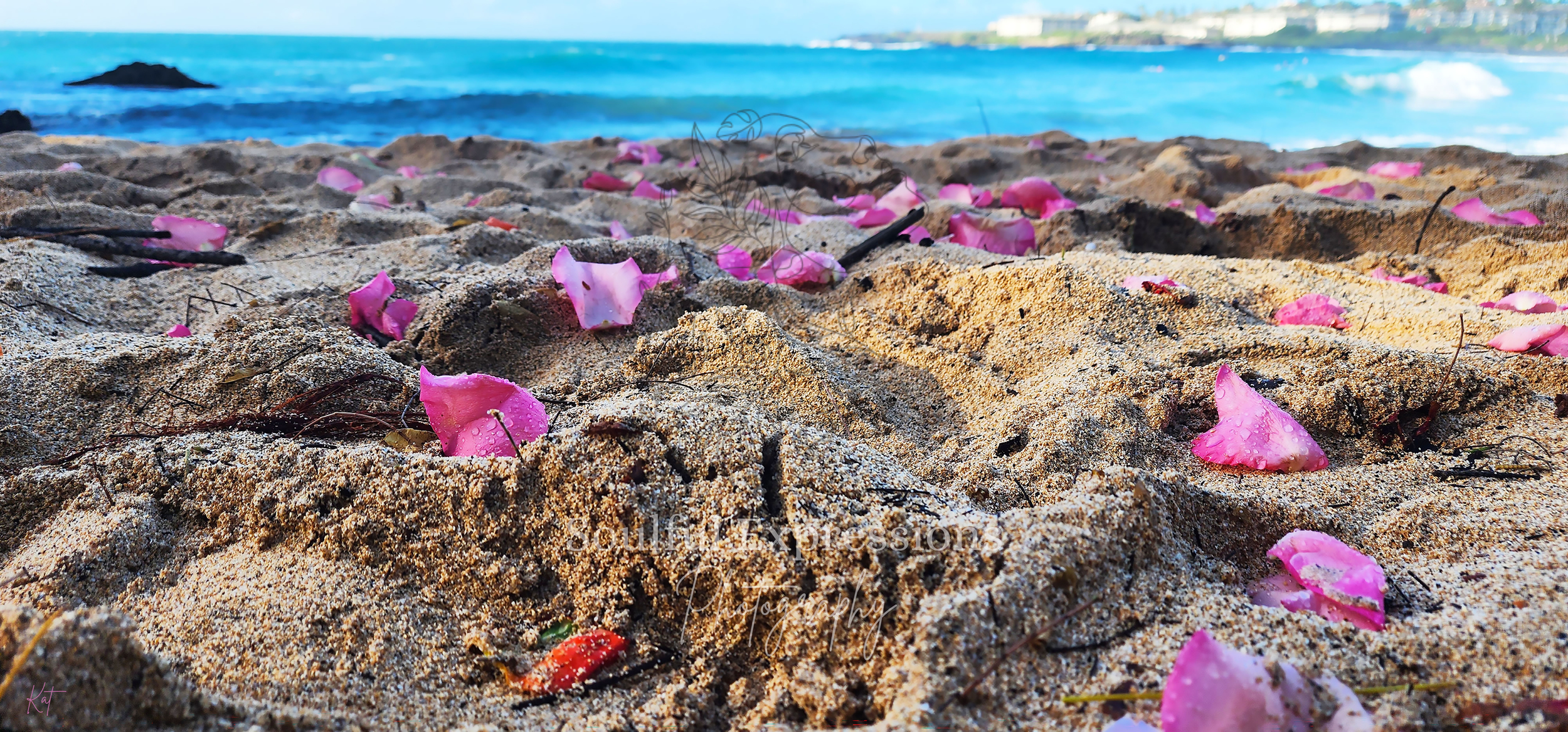 Close-up of sandy beach after a Lemurian ceremony in Kauai, Hawaii, with pink flower petals and twigs, ocean waves in the background, and a distant shoreline under a partly cloudy sky.