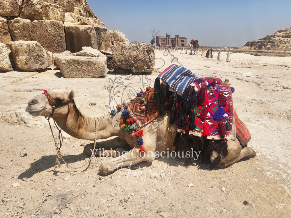 Giza photograph &mdash; Egypt 2