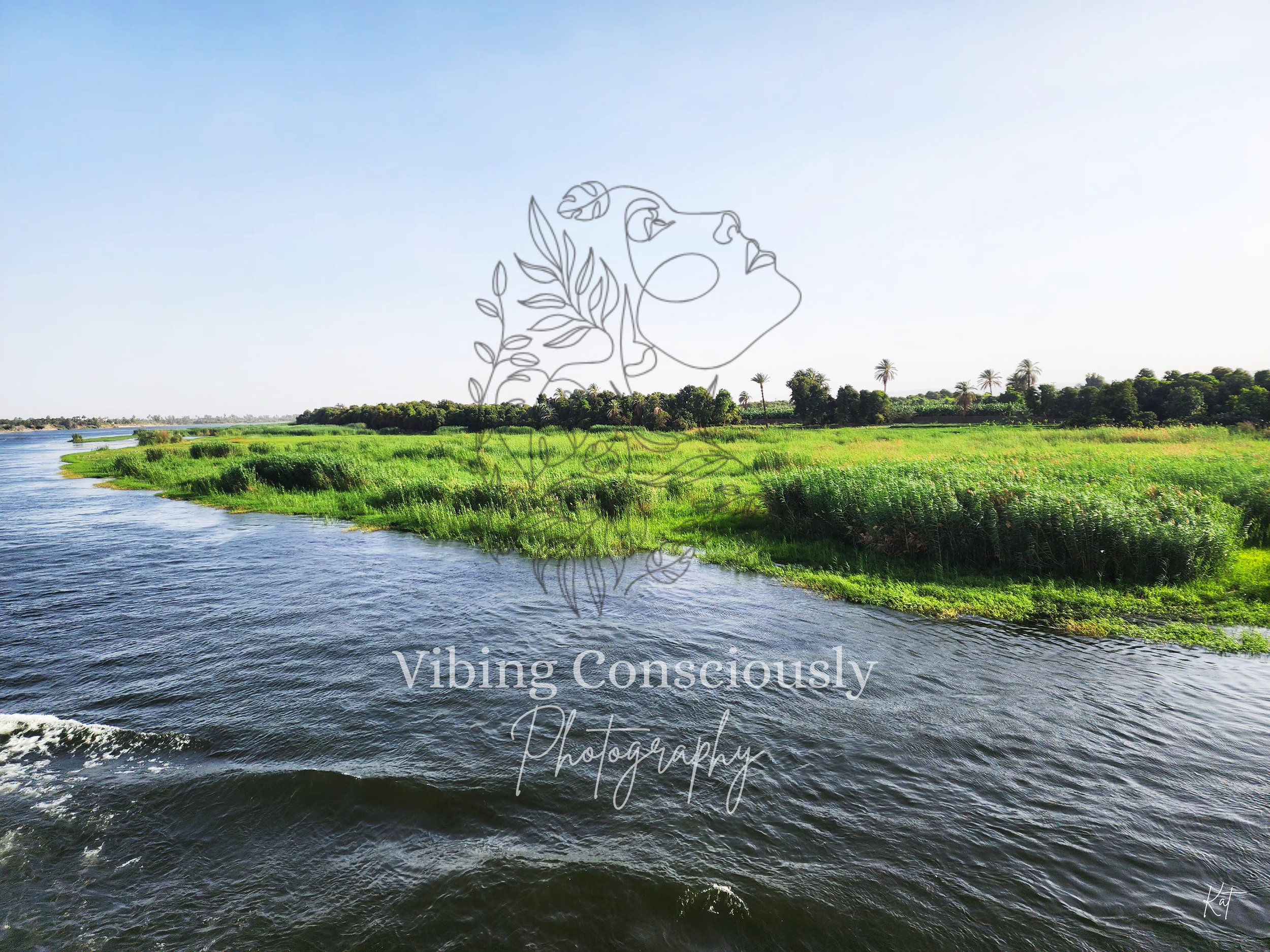 Lushness on the Nile