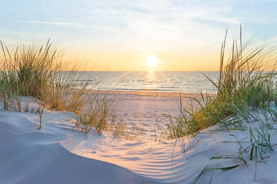 Sunset over the ocean viewed through sandy dunes with beach grass.