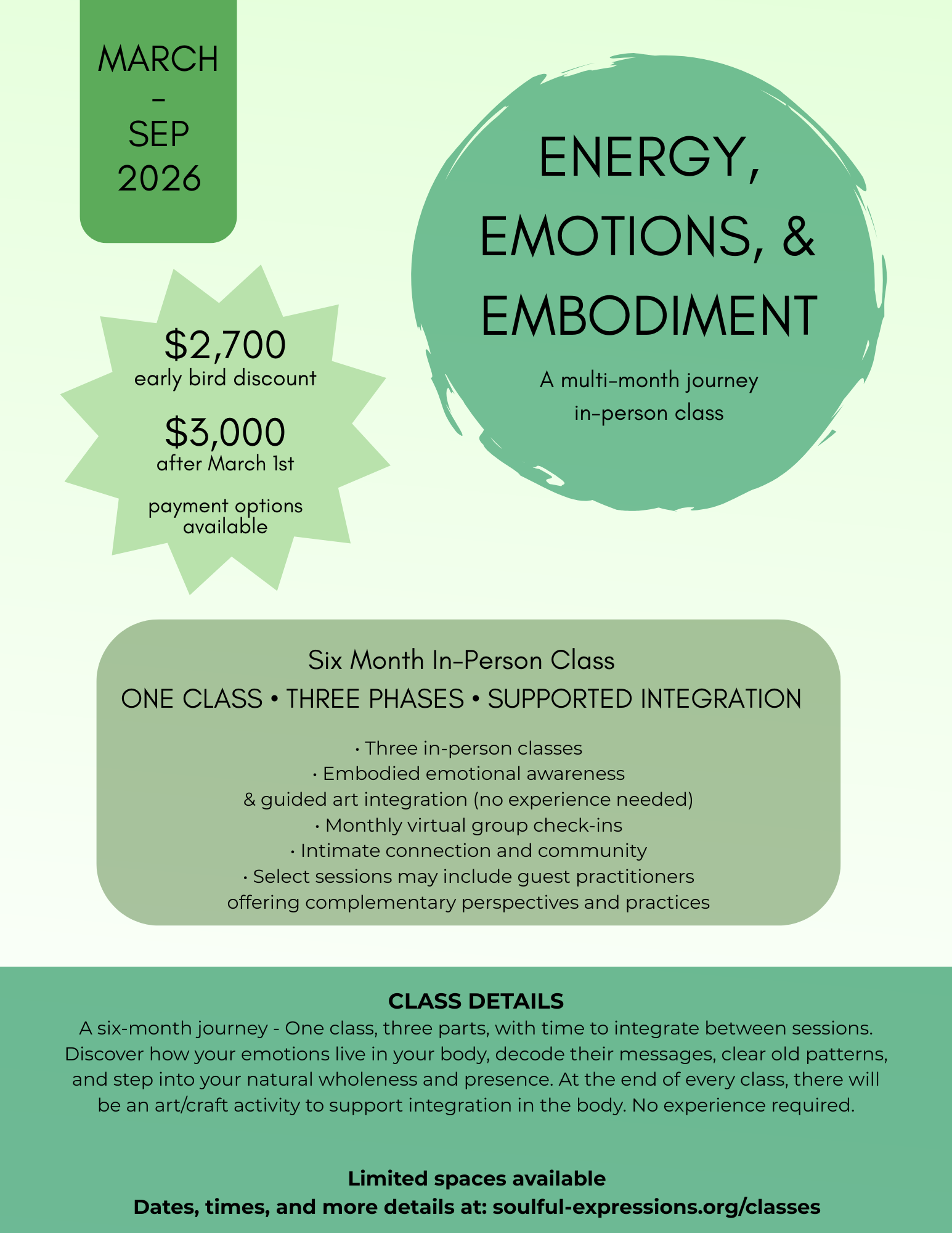 Energy, Emotions, and Embodiment 6-Month Course