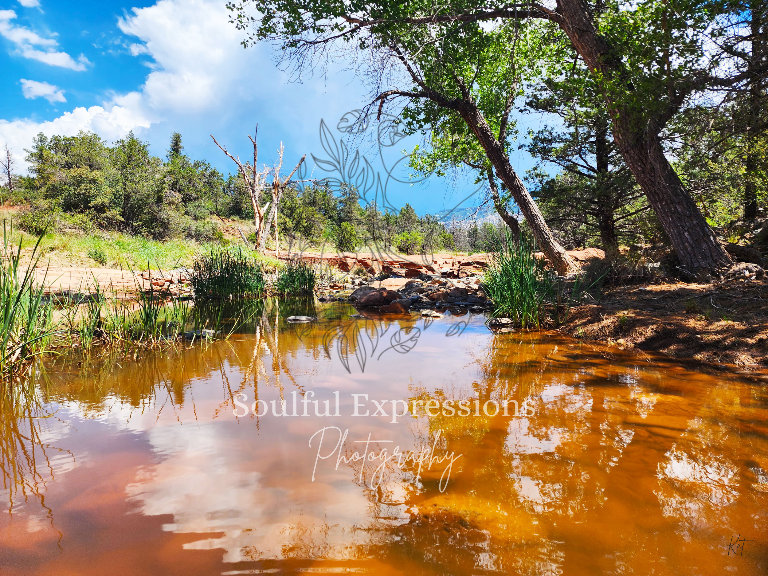 A calm stream reflecting blue sky and clouds, surrounded by green trees and shrubs, with a mix of pines and leaf trees, some leaning toward the water, in a natural landscape in Sedona, Arizona.