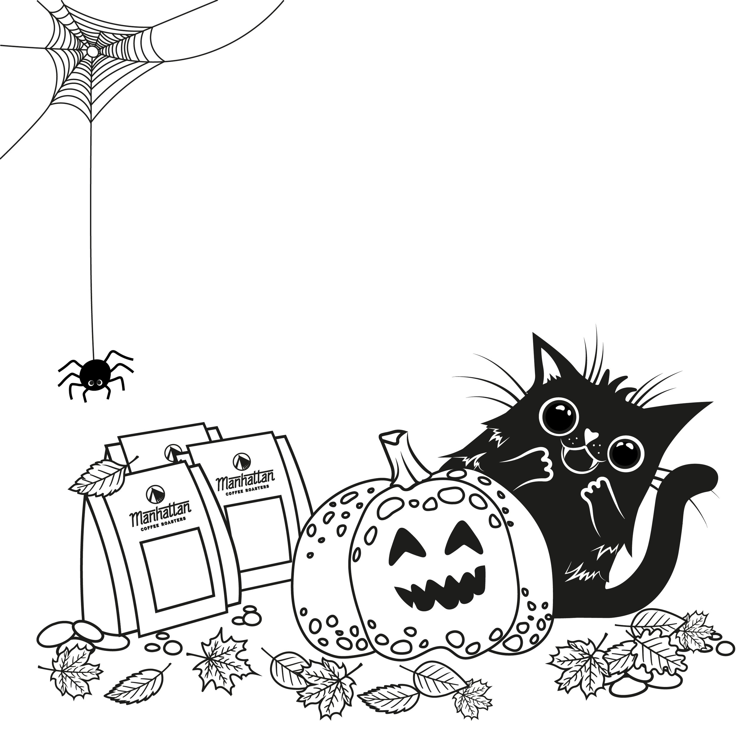 kitty_and_spider_for insta.jpg