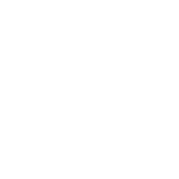 Abstract black and white illustration with multiple lines and circles