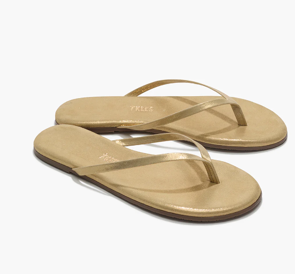 Screenshot 2026-03-30 145622.png