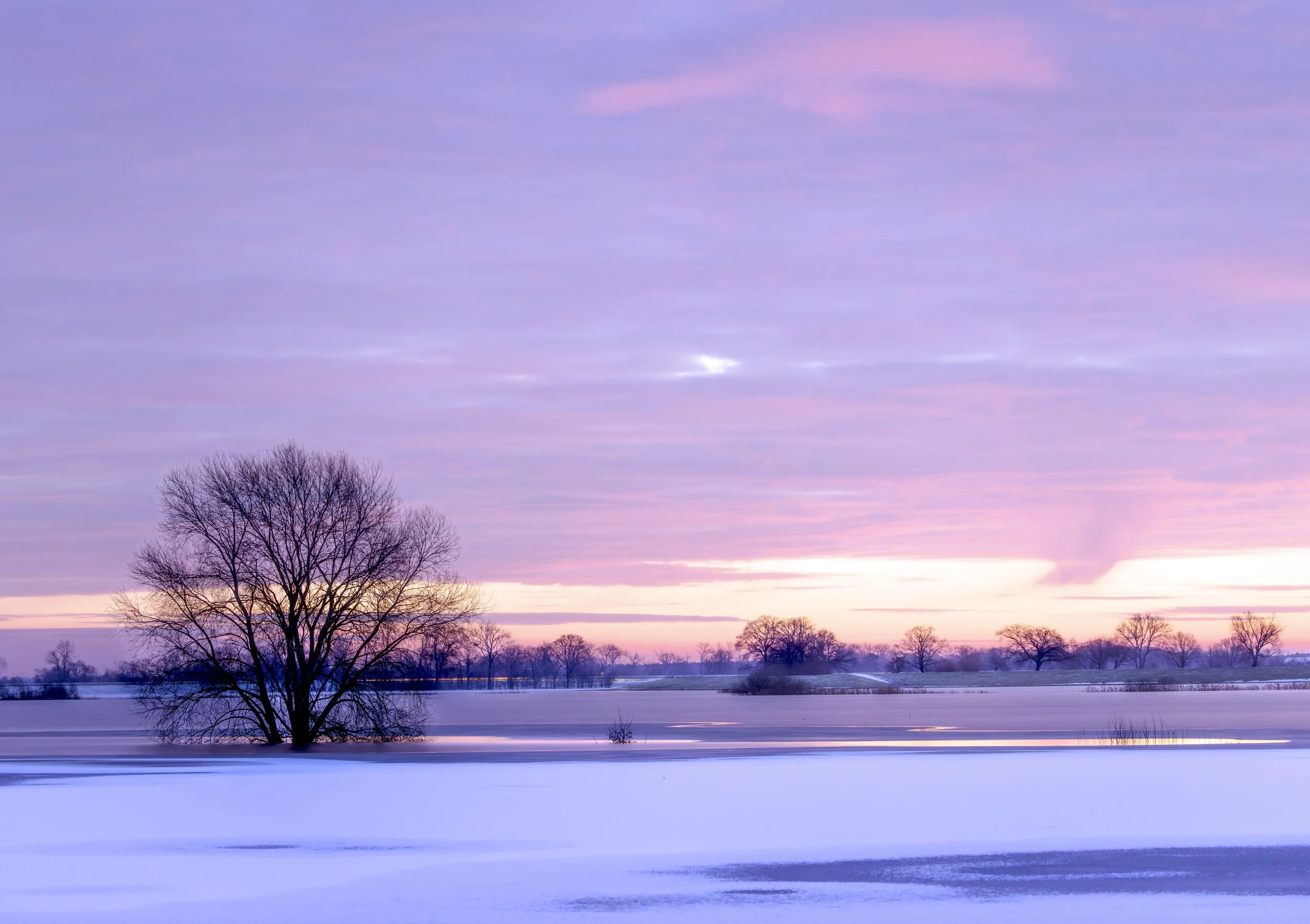 Vor Sonnenaufgang im Winter
