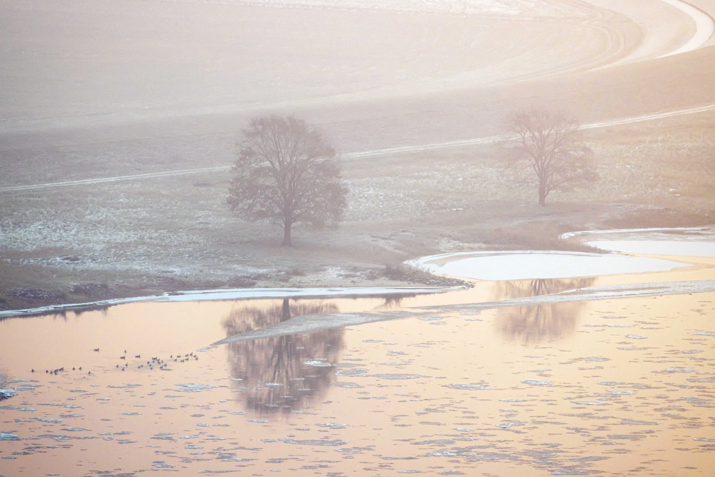 Anderes Elbufer im Winter
