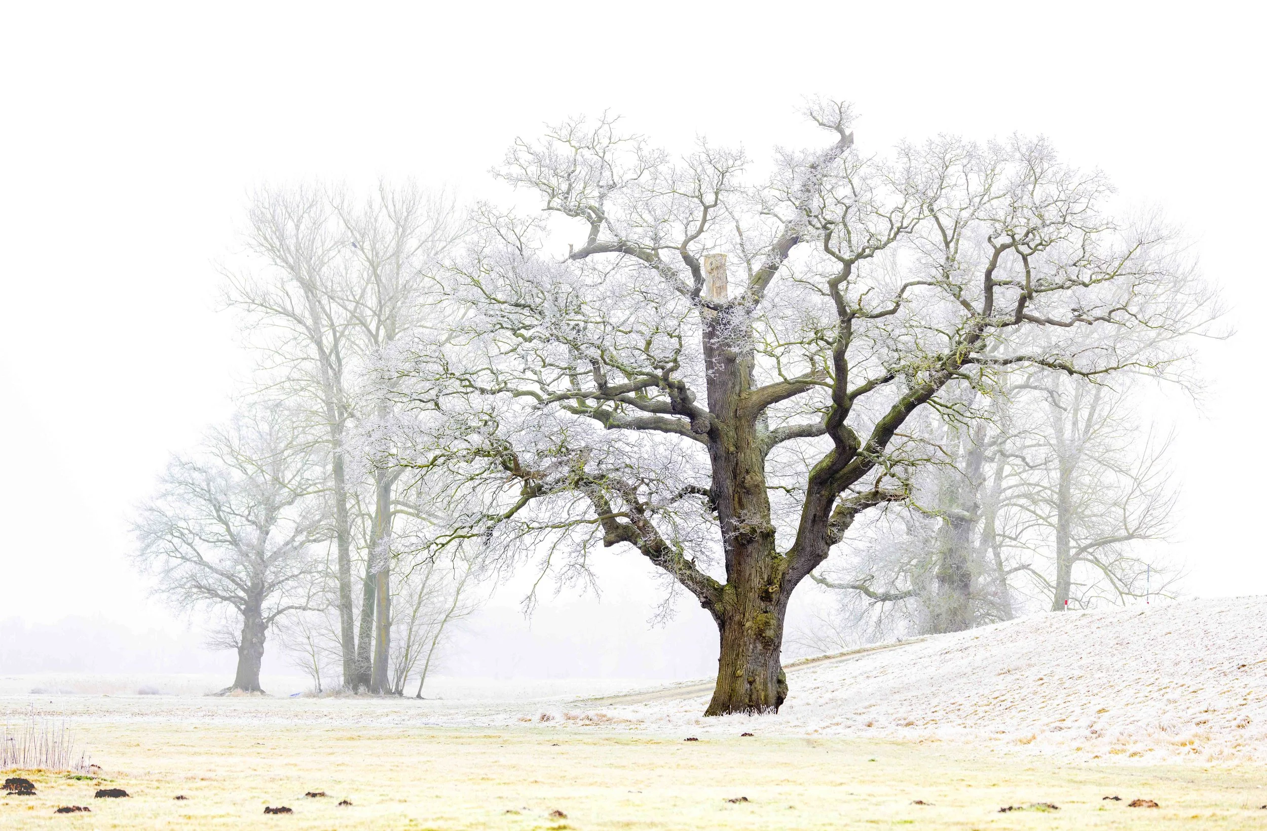 Vereiste in Uhlenhorst