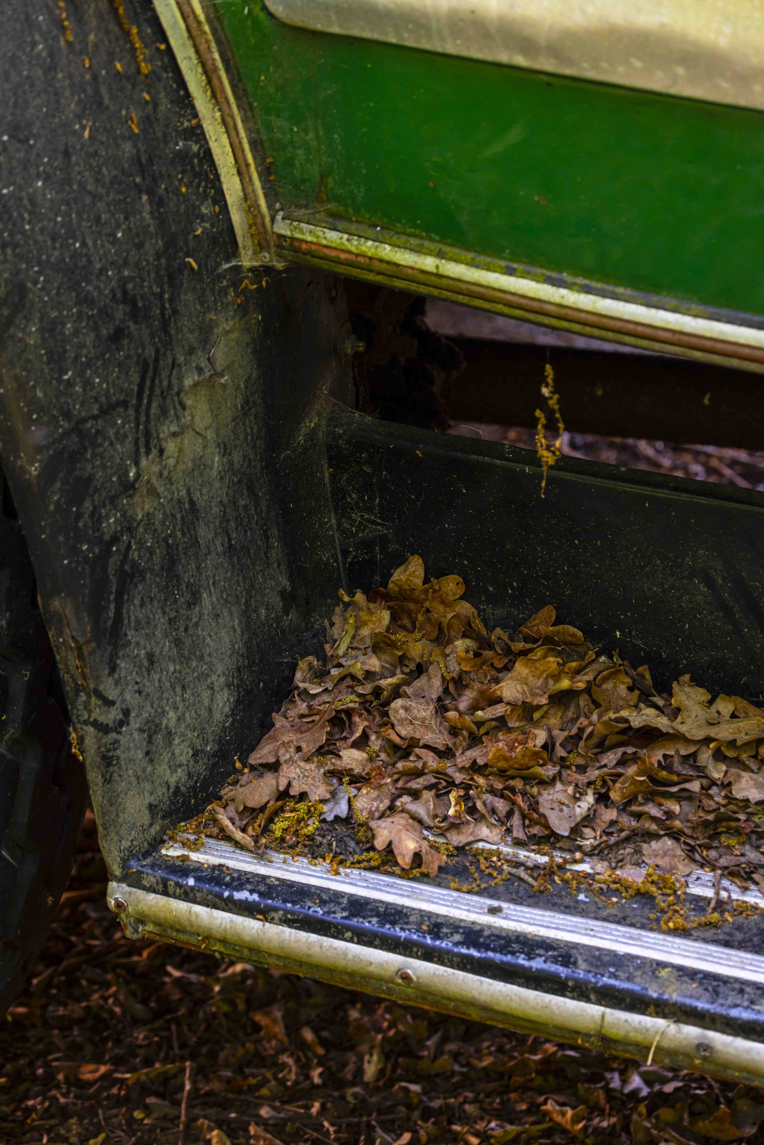 Türeinstieg mit Blätter