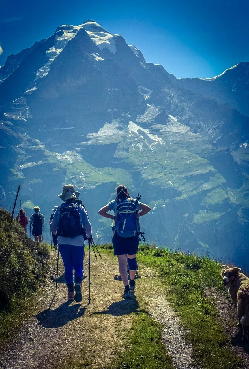 Hikers with backpacks and trekking poles walking on a mountain path, with a scenic view of a snowcapped mountain in the background.