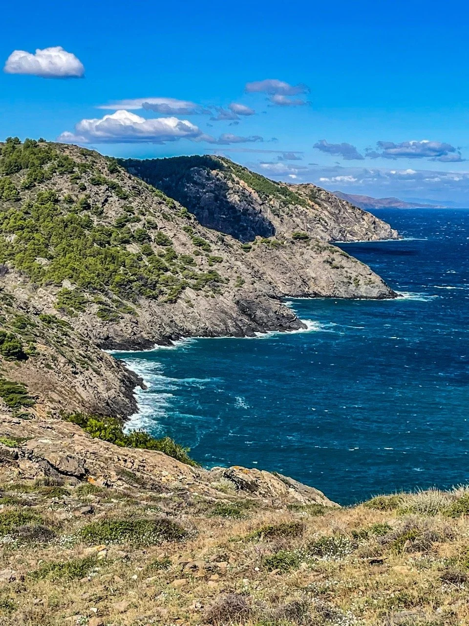 Coastal landscape with rocky cliffs, green vegetation, and blue sea under a clear sky.
