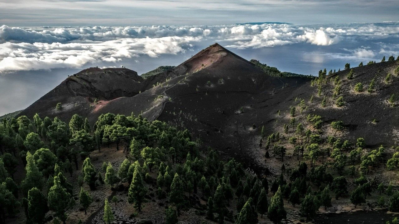 A volcanic landscape with lush green trees scattering across dark volcanic soil and hills, beneath a cloudy sky.