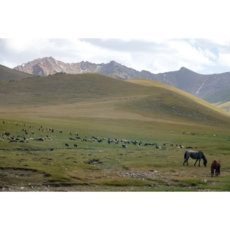 2018 NAC 002 - Optimized.jpg