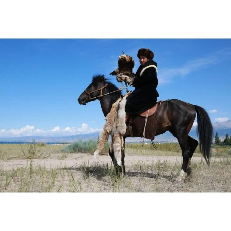 2015 NAC 018 - Optimized.jpg