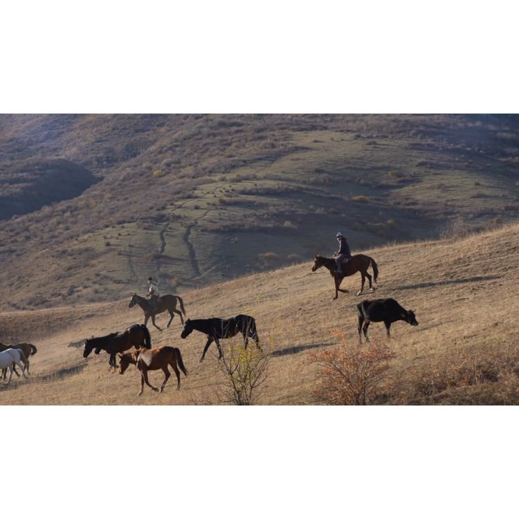 2021 NAC 15 - Optimized.jpg