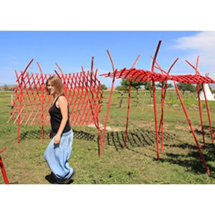 2015 NAC 002 - Optimized.jpg