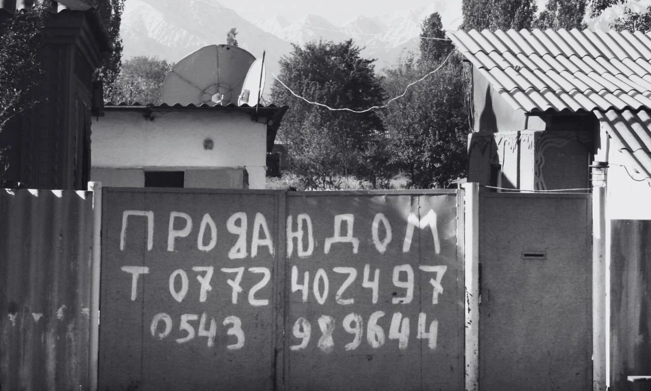 In Search of Another Life