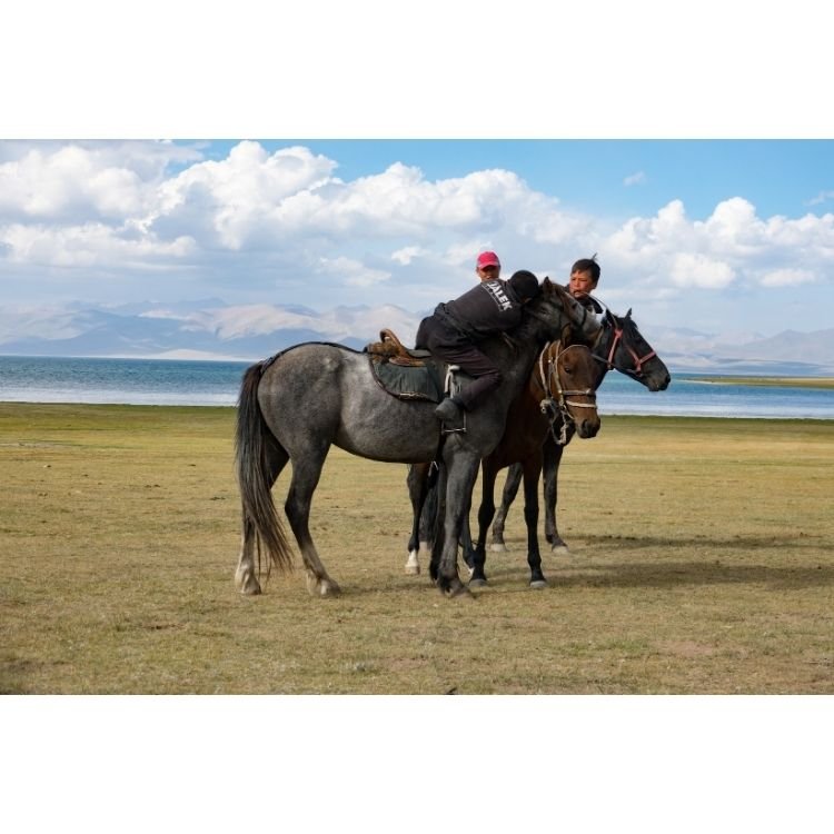 2018 NAC 010 - Optimized.jpg