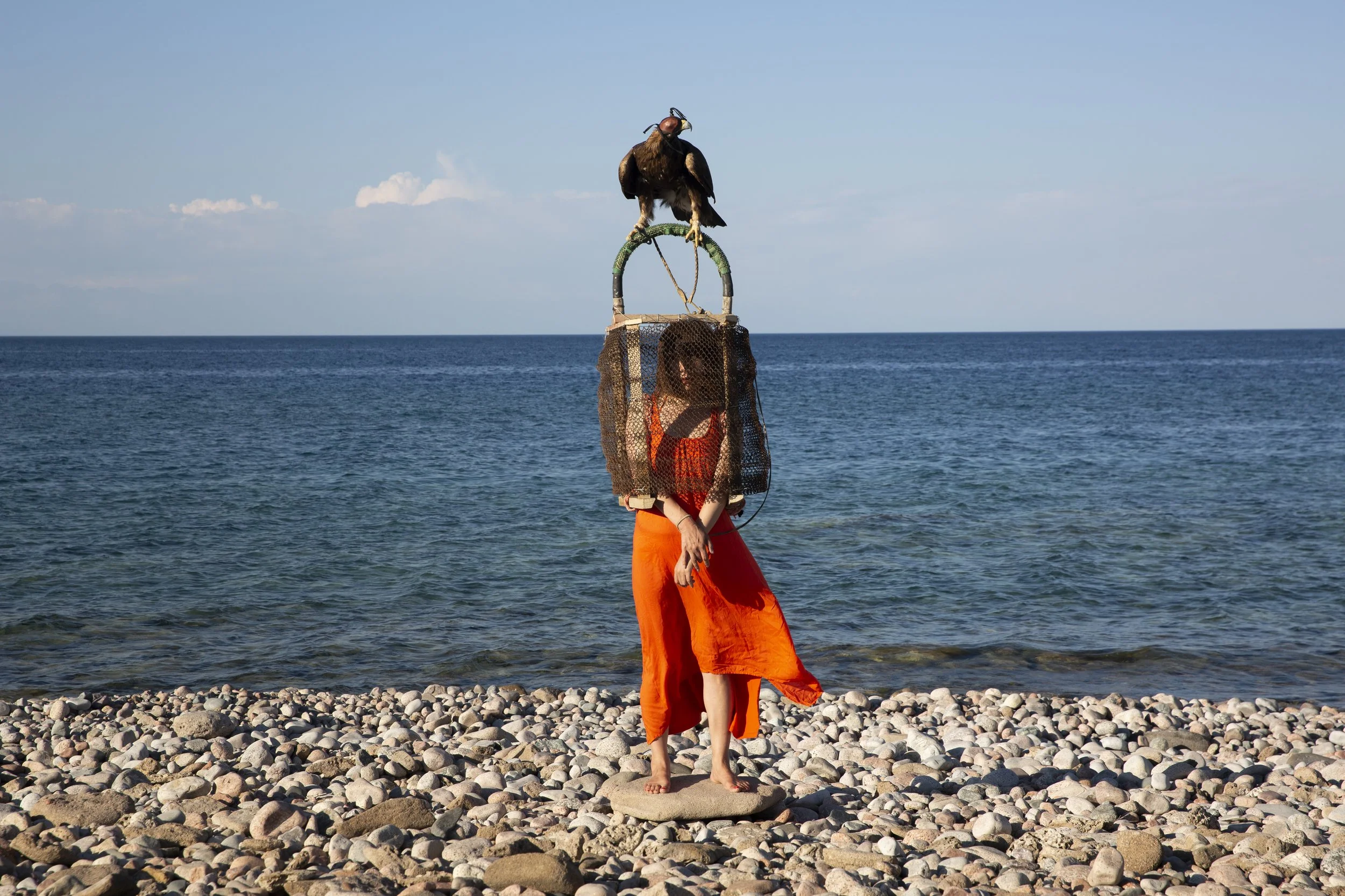 Installation - Flight of the Bling Eagle 03.jpg