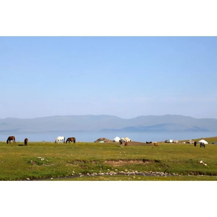 2016 NAC 015 - Optimized.jpg