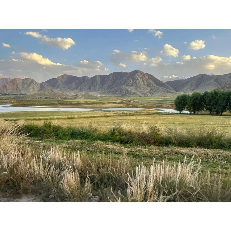 2024 NAC 08 - Optimized.jpg