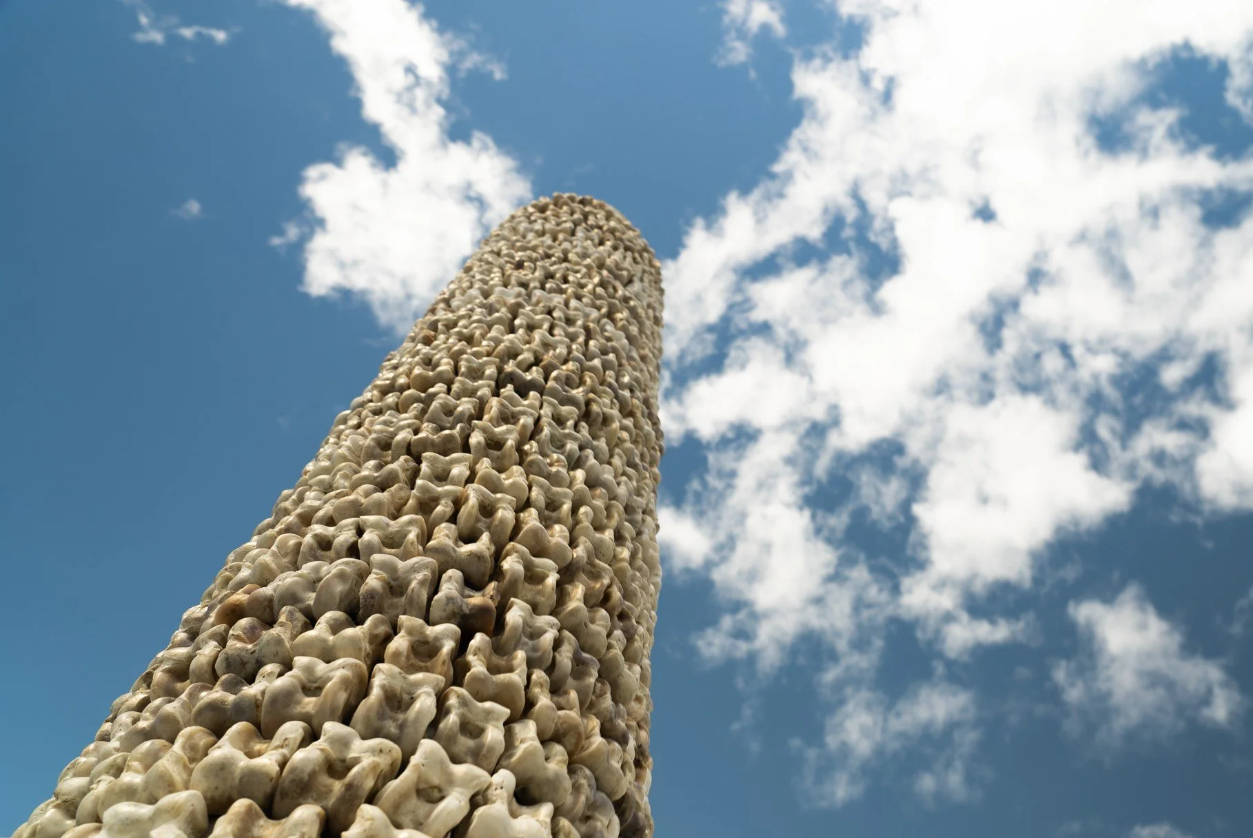 Installation - Chuko 04.jpg