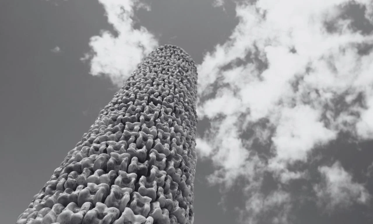 Chuko-Bones: Memory in Play