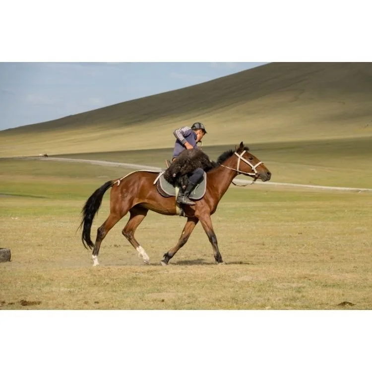 2018 NAC 015 - Optimized.jpg