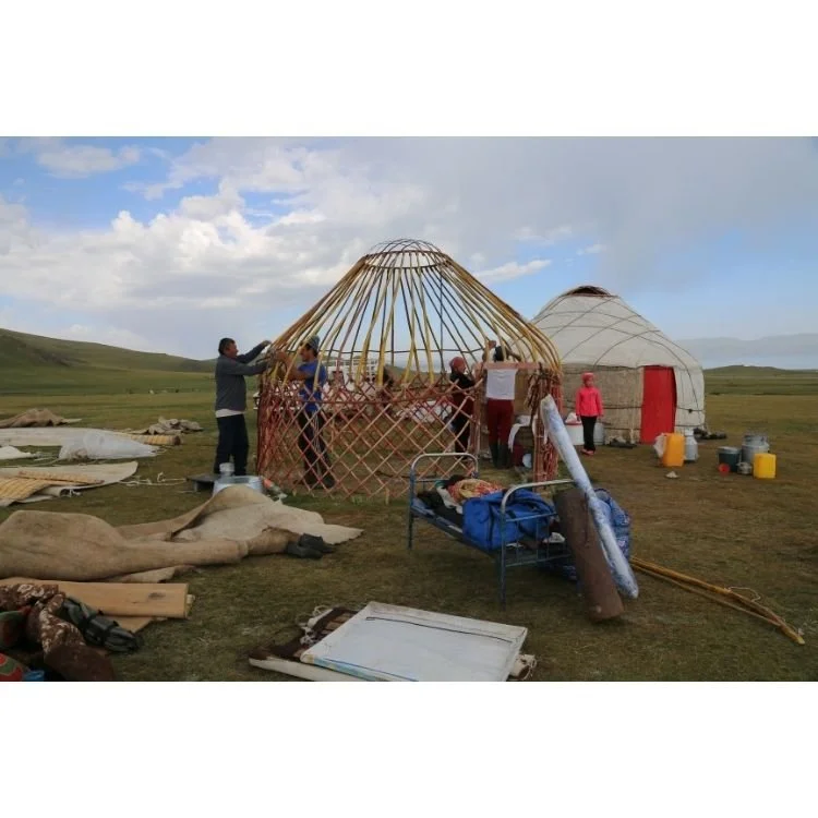 2016 NAC 016 - Optimized.jpg