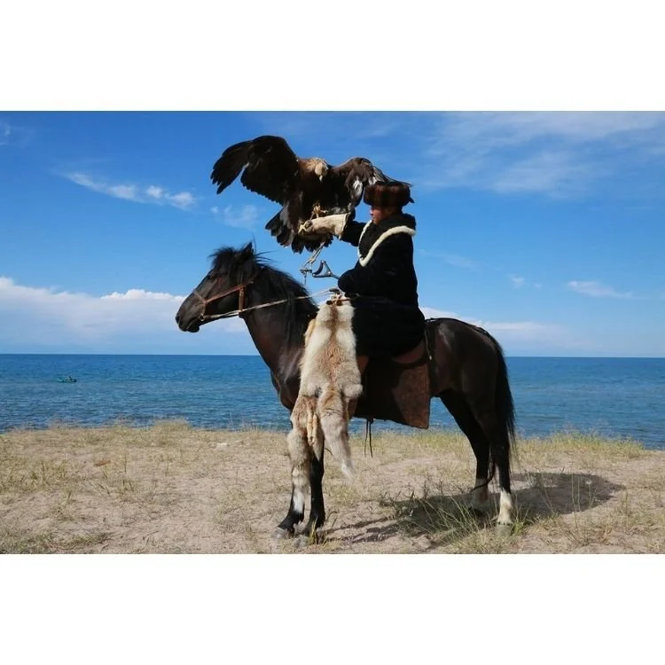 2015 NAC 011 - Optimized.jpg