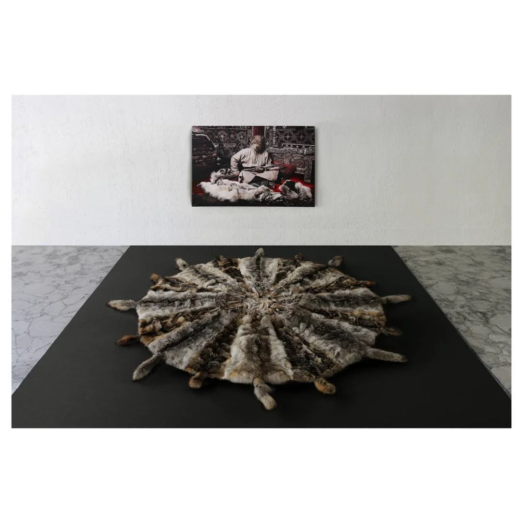 Predatory Paradox 07.jpg