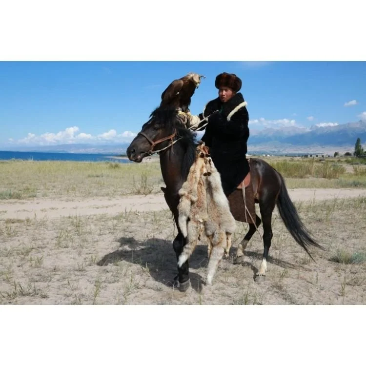 2015 NAC 019 - Optimized.jpg