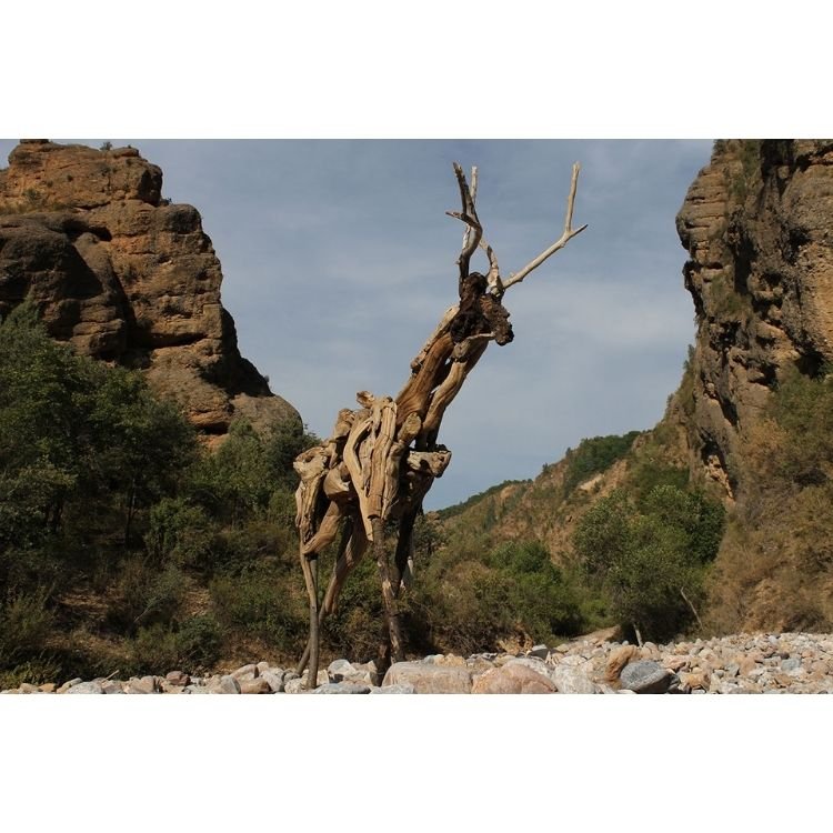 2014 NAC 07 - Optimized.jpg