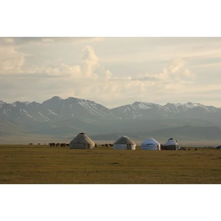 2016 NAC 005 - Optimized.jpg