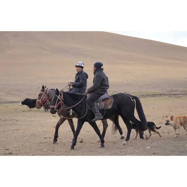 2022 NAC 16 - Optimized.jpg