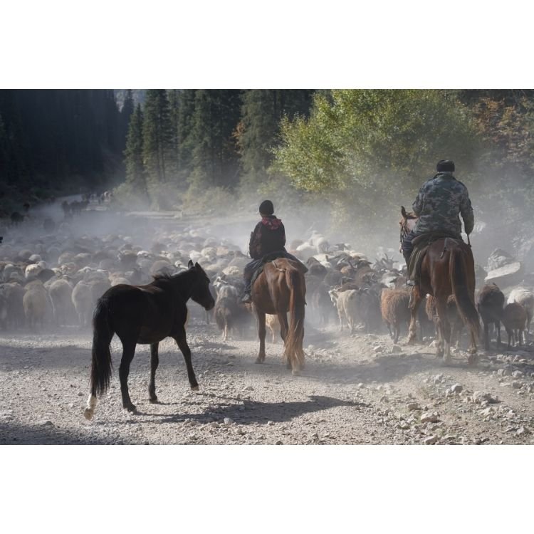 2019 NAC 07 - Optimized.jpg