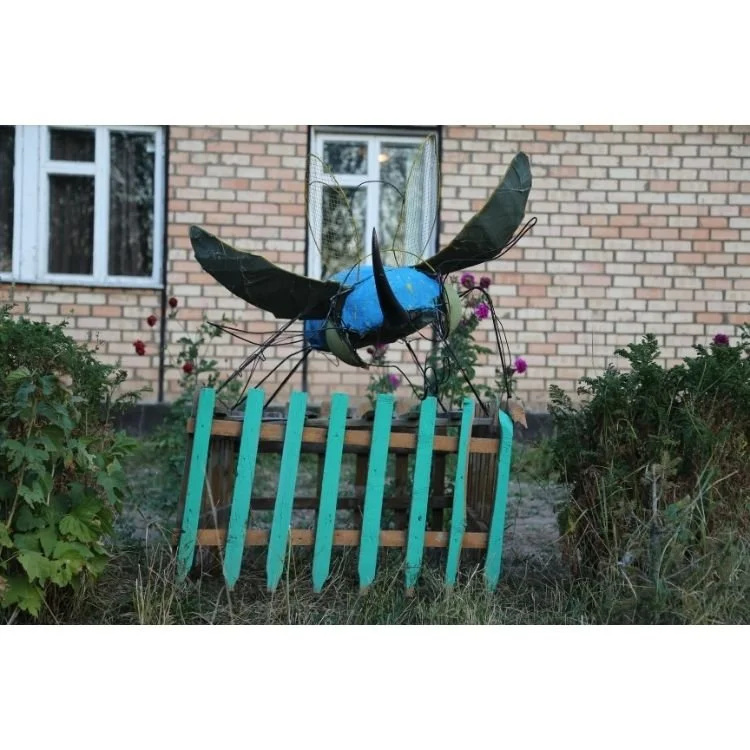 2017 NAC 098 - Optimized.jpg